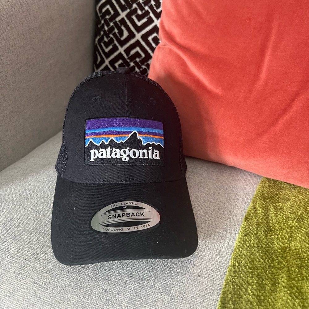 Patagonia SnapBack Hat